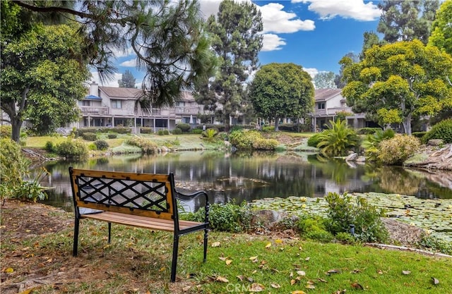 27076 Mill Pond Rd W Unit 9, Dana Point, CA 92624 - view of home's community with a water view