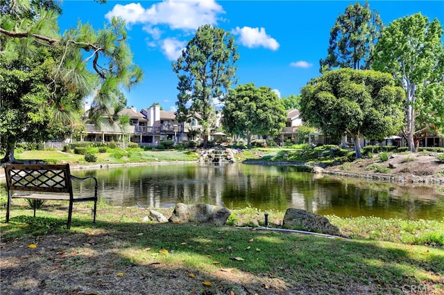 27076 Mill Pond Rd W Unit 9, Dana Point, CA 92624 - photo 41