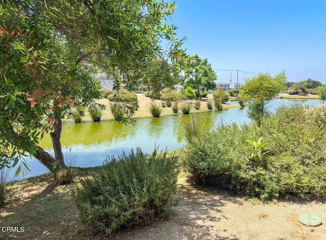 1802 W 49th St, Los Angeles, CA 90062 - photo 5
