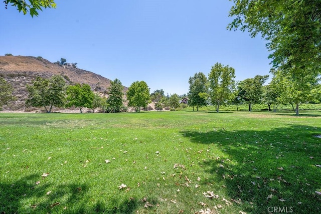 24523 Via Esquina, Calabasas, CA 91302 - photo 63