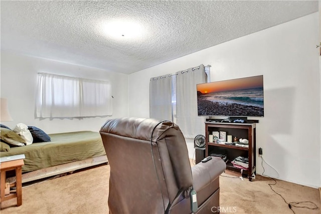 1582 Hardt St, San Bernardino, CA 92408 - living area with light carpet and a textured ceiling
