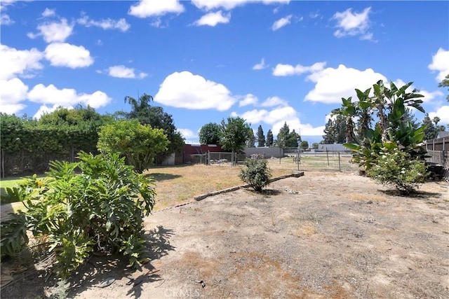 1582 Hardt St, San Bernardino, CA 92408 - view of yard