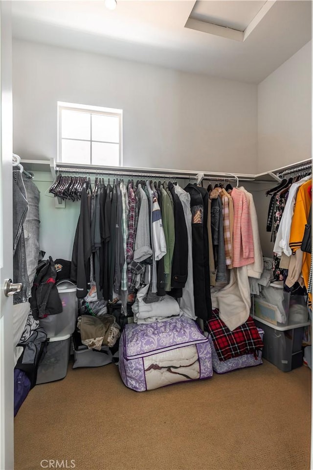 7150 Talasi Dr, Eastvale, CA 92880 - photo 45