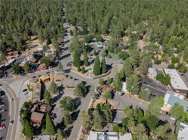 53825 Marian View Dr, Idyllwild, CA 92549 - photo 44