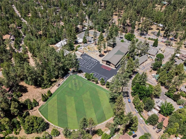 53825 Marian View Dr, Idyllwild, CA 92549 - photo 45