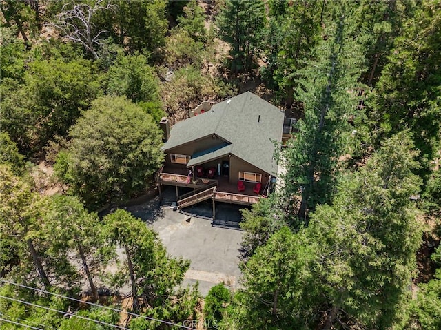 53825 Marian View Dr, Idyllwild, CA 92549 - photo 48