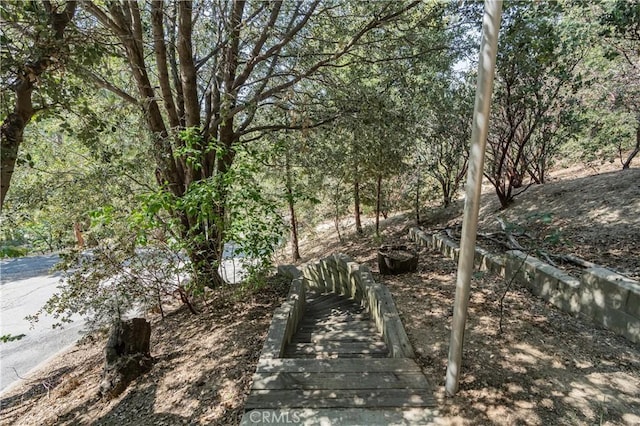53825 Marian View Dr, Idyllwild, CA 92549 - photo 37