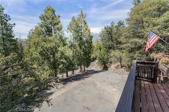 53825 Marian View Dr, Idyllwild, CA 92549 - photo 34