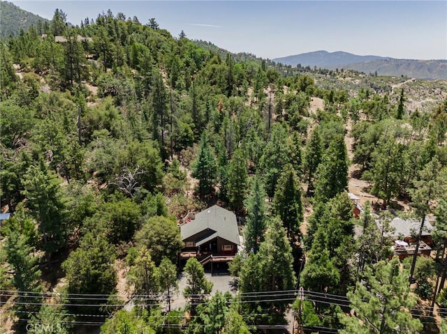 53825 Marian View Dr, Idyllwild, CA 92549 - photo 47