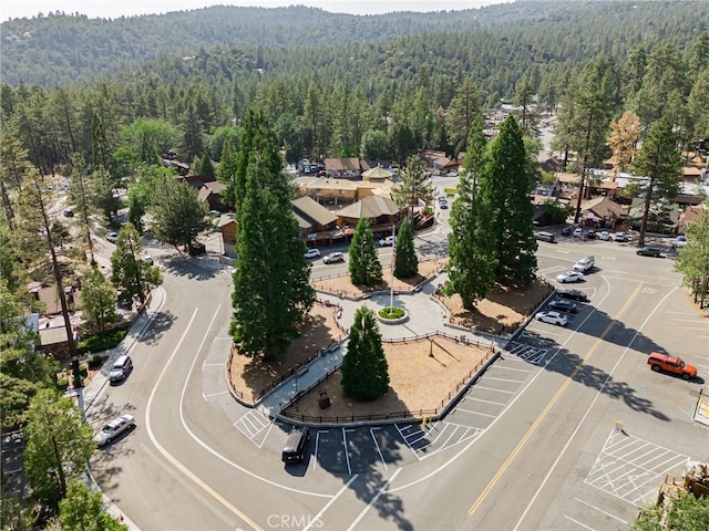 53825 Marian View Dr, Idyllwild, CA 92549 - photo 42