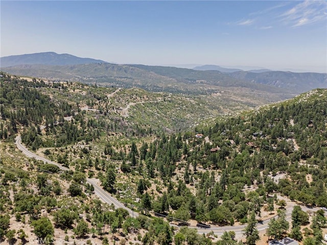53825 Marian View Dr, Idyllwild, CA 92549 - photo 46