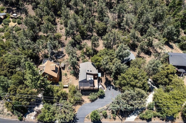 1917 Freeman, Pine Mountain Club, CA 93222 - photo 17