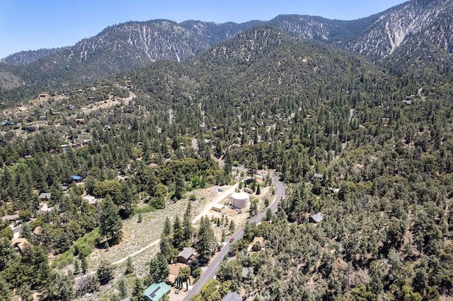 1917 Freeman, Pine Mountain Club, CA 93222 - photo 20