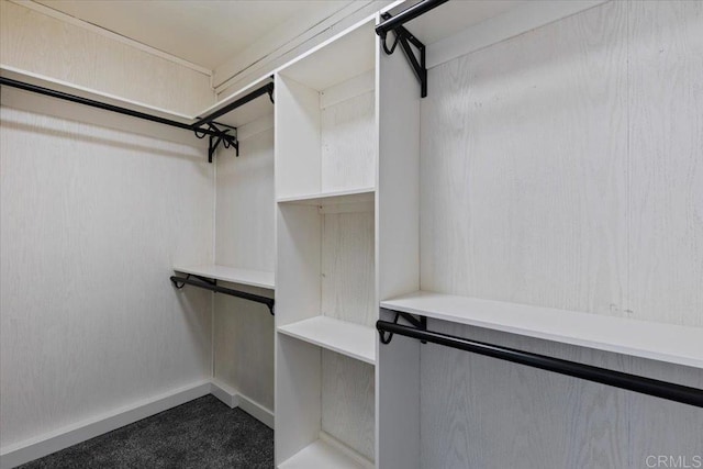 1327 Walbollen St, Spring Valley, CA 91977 - walk in closet with carpet flooring