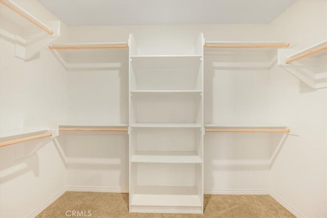 1920 Clementine St, Redlands, CA 92374 - walk in closet with carpet