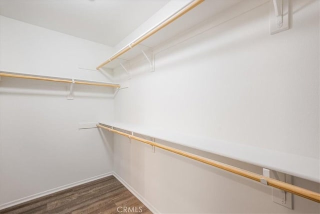 1920 Clementine St, Redlands, CA 92374 - spacious closet with dark wood-type flooring