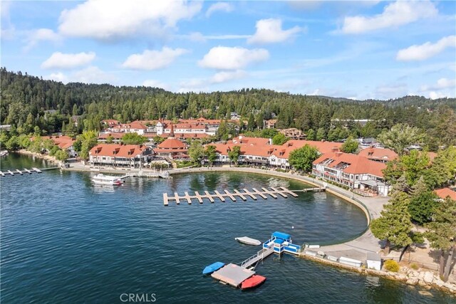 4 Village Unit 2, Lake Arrowhead, CA 92352 - photo 50