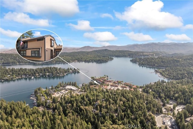 4 Village Unit 2, Lake Arrowhead, CA 92352 - water view with a mountain backdrop and a forest