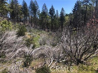6847 High Valley Rd, Lucerne, CA 95458 - photo 4