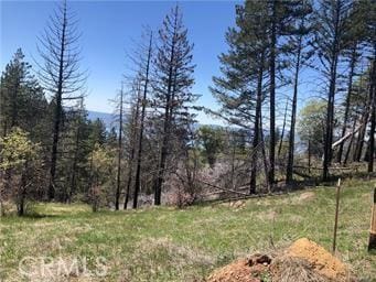 6847 High Valley Rd, Lucerne, CA 95458 - photo 1