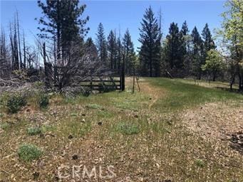 6847 High Valley Rd, Lucerne, CA 95458 - photo 13