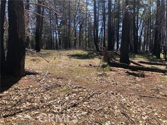 6847 High Valley Rd, Lucerne, CA 95458