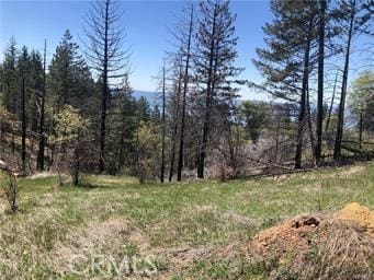 6847 High Valley Rd, Lucerne, CA 95458 - photo 5