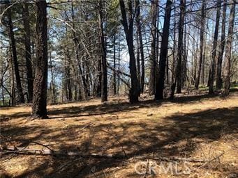6847 High Valley Rd, Lucerne, CA 95458 - photo 11