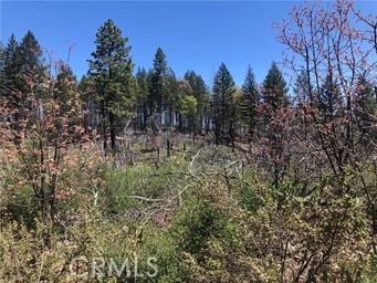 6847 High Valley Rd, Lucerne, CA 95458