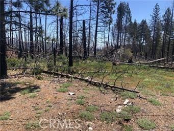 6847 High Valley Rd, Lucerne, CA 95458