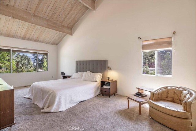 1112 Cedar Mountain Rd, Big Bear City, CA 92314 - photo 10
