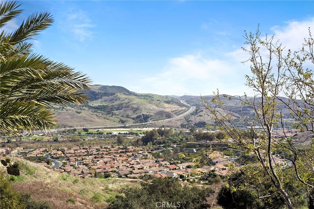 28 Sky Ranch Rd, Ladera Ranch, CA 92694 - photo 58
