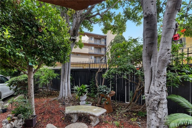 460 Golden Ave Unit 434, Long Beach, CA 90802 - view of yard