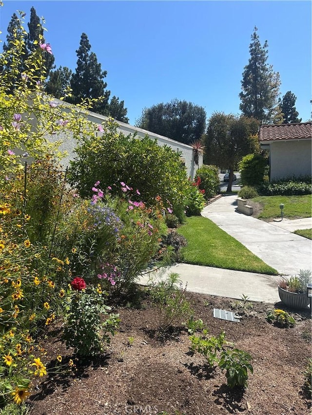 967 Calle Aragon Unit B, Laguna Woods, CA 92637 - view of yard