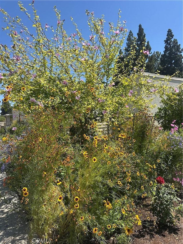 967 Calle Aragon Unit B, Laguna Woods, CA 92637 - view of nature