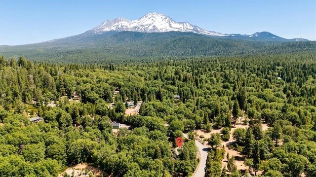 1227 Eddy Dr, Mount Shasta, CA 96067 - photo 33