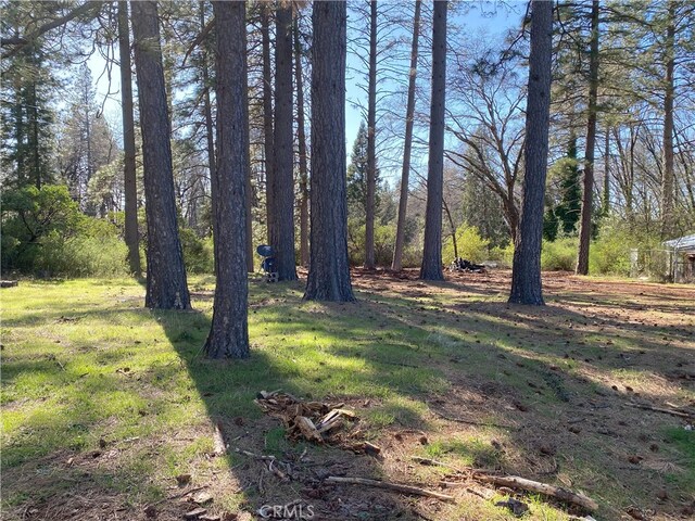 13662 Nimshew Rd, Magalia, CA 95954 - photo 20