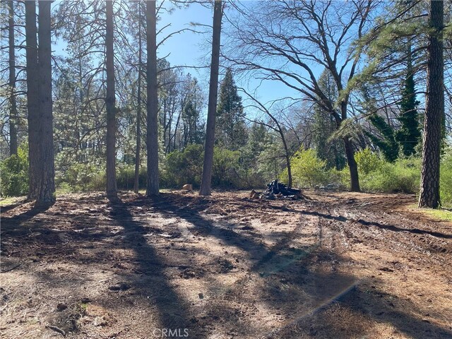 13662 Nimshew Rd, Magalia, CA 95954 - photo 22