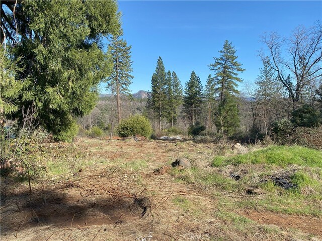 13662 Nimshew Rd, Magalia, CA 95954 - photo 11