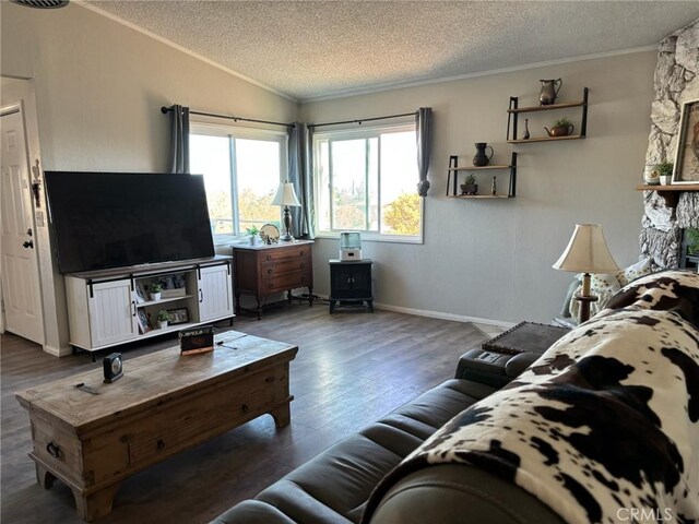2033 Hollister Rd, Pinon Hills, CA 92372 - living room with crown molding, a textured ceiling, and wood finished floors