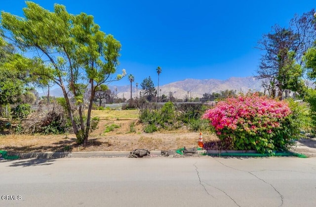 385 E Mariposa St, Altadena, CA 91001