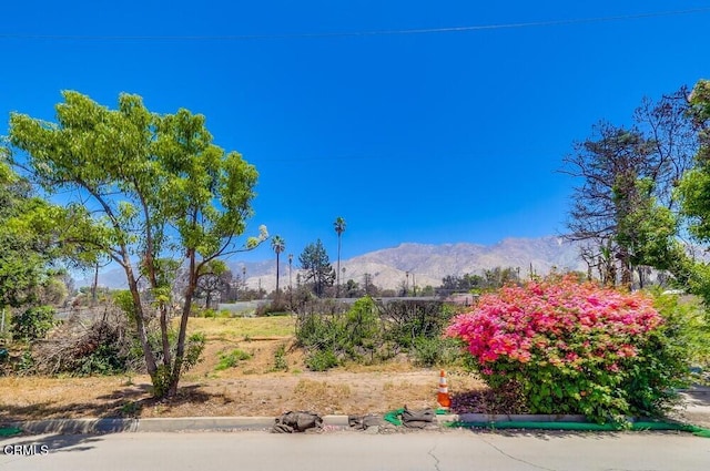 385 E Mariposa St, Altadena, CA 91001