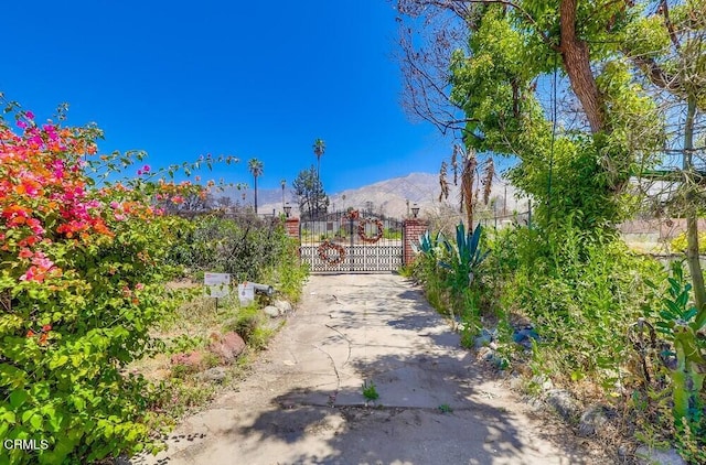 385 E Mariposa St, Altadena, CA 91001