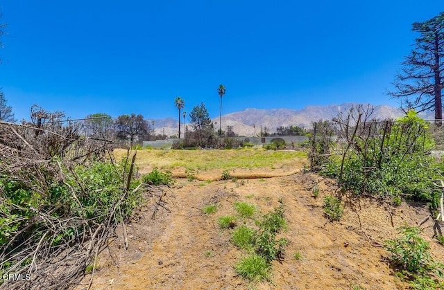 385 E Mariposa St, Altadena, CA 91001