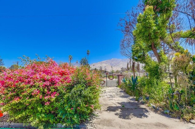 385 E Mariposa St, Altadena, CA 91001