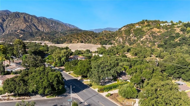 1648 Highland Oaks Dr, Arcadia, CA 91006 - photo 16