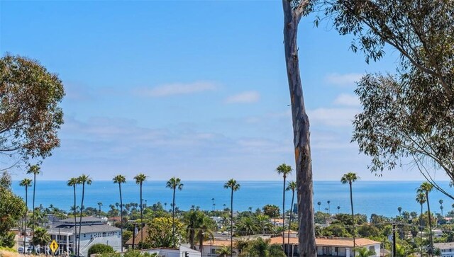 19 Vista Encanta, San Clemente, CA 92672 - photo 23
