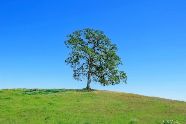 19623 Rd 211, Friant, CA 93626 - view of yard