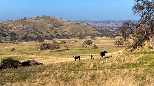 19623 Rd 211, Friant, CA 93626 - view of mountain backdrop featuring rural landscape and a pastoral area