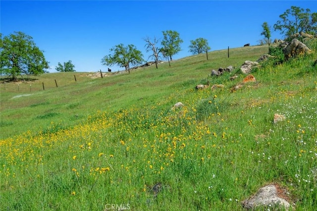 19623 Rd 211, Friant, CA 93626 - view of yard featuring a view of rural / pastoral area